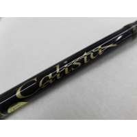 カリスタ ８６Ｌ／ＴＺ　ＮＡＮＯ